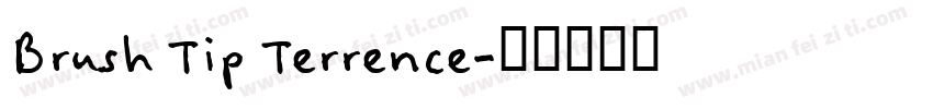 Brush Tip Terrence字体转换